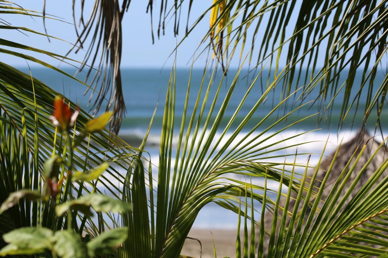 Tapas & Surf Hotell Petacaltepe Eksteriør bilde